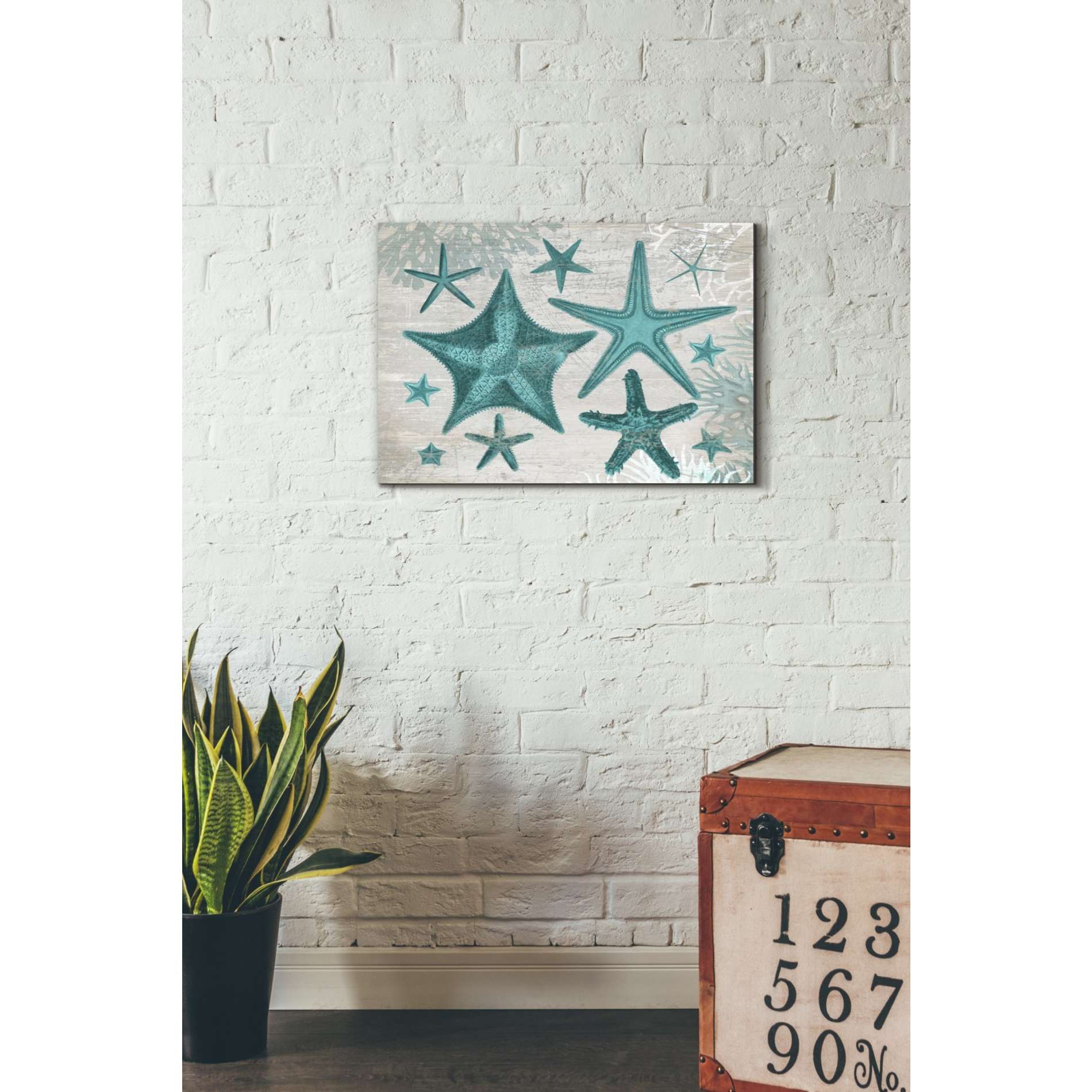 'Green Starfish Collection' by Fab Funky, Giclee Canvas Wall Art