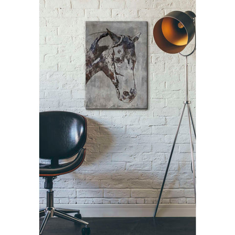 Image of 'Morgan Horse-Black Beauty 6' by Irena Orlov, Canvas Wall Art,18 x 26