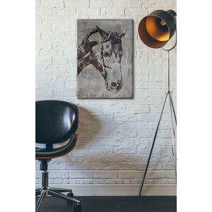 'Morgan Horse-Black Beauty 6' by Irena Orlov, Canvas Wall Art,18 x 26