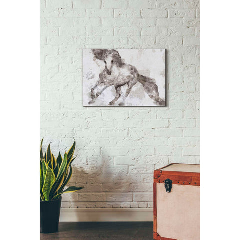 Image of 'Alydar Horse' by Irena Orlov, Canvas Wall Art,26 x 18