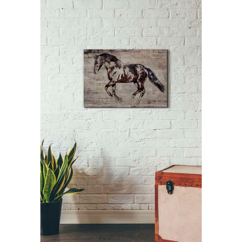Image of 'Trakehner Horse 2' by Irena Orlov, Canvas Wall Art,26 x 18