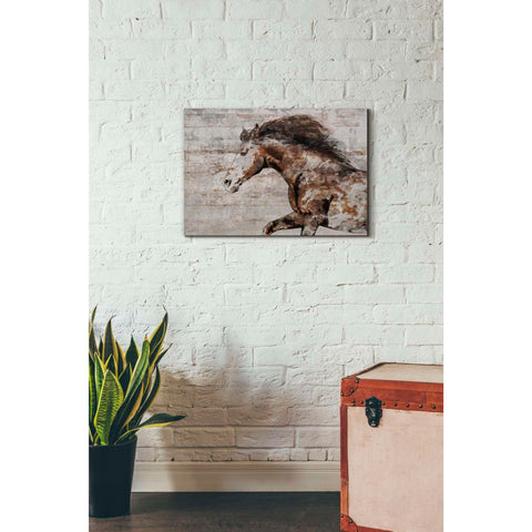 Image of 'WILD HORSE RUNNING 4' by Irena Orlov, Canvas Wall Art,26 x 18