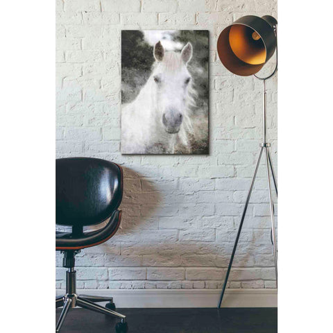 Image of 'White Horse Mystique' by Bluebird Barn, Canvas Wall Art,18 x 26