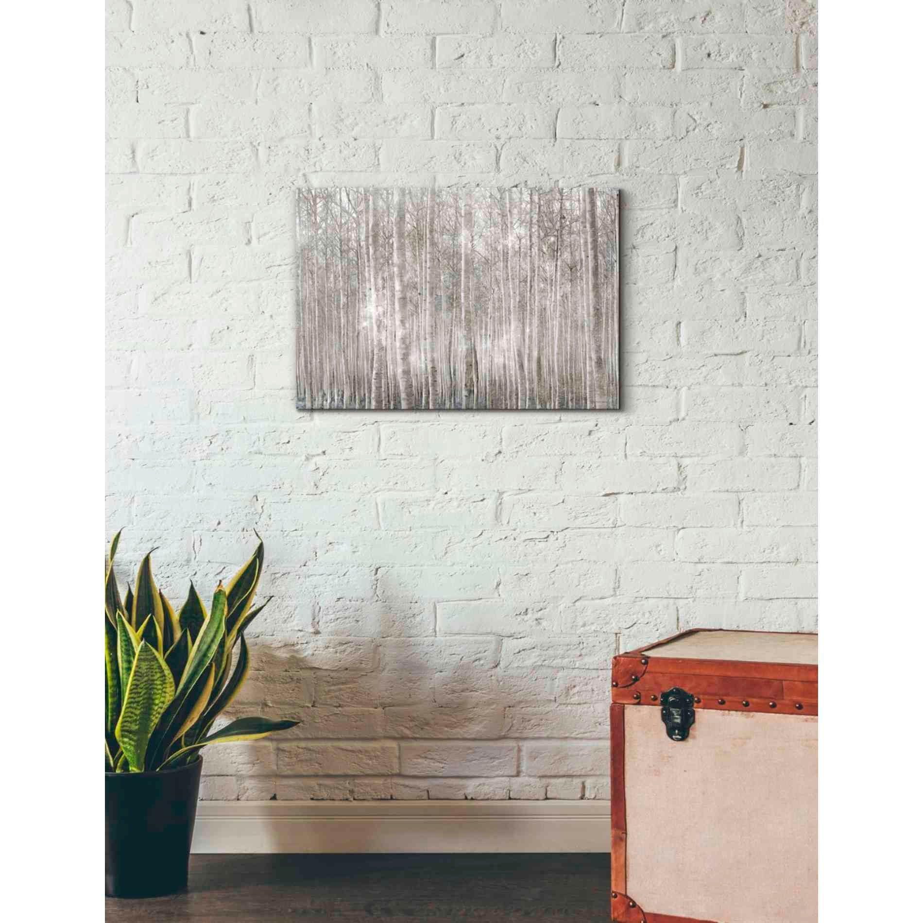 'Birch Trees' by Bluebird Barn, Canvas Wall Art,26 x 18