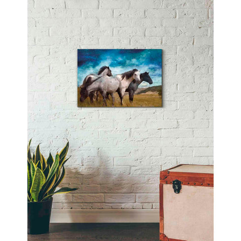 Image of 'Starry Night Horse Herd' by Bluebird Barn, Canvas Wall Art,26 x 18