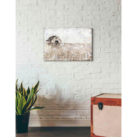 Image of 'Cotton Farms' by Britt Hallowell, Canvas Wall Art,26 x 18