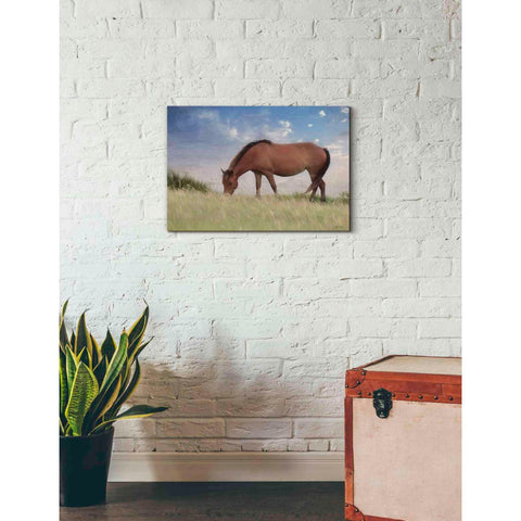 Image of 'Assataegue Horse' by Lori Deiter, Canvas Wall Art,26 x 18