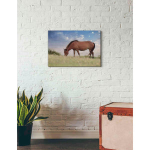 'Assataegue Horse' by Lori Deiter, Canvas Wall Art,26 x 18