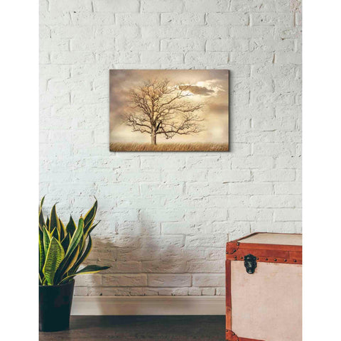 Image of 'Golden Tree' by Lori Deiter, Canvas Wall Art,26 x 18