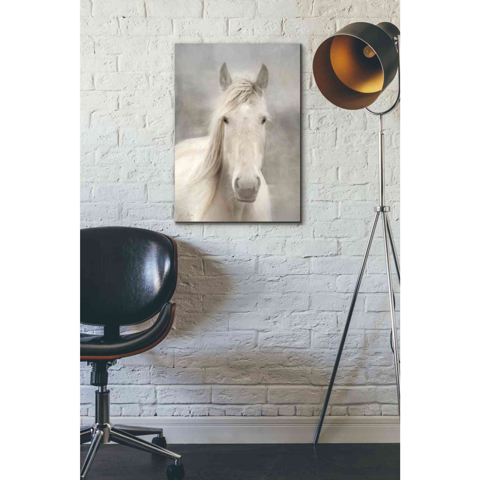 'White Beauty I' by Lori Deiter, Canvas Wall Art,18 x 26