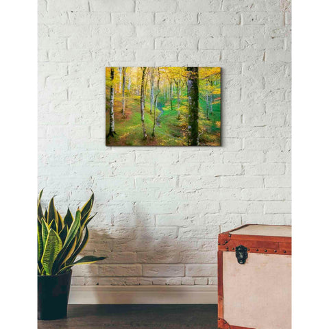 Image of 'Dream of Birches' by Lars van de Goor, Giclee Canvas Wall Art
