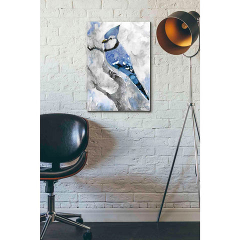 Image of 'Blue Jay 2' by Stellar Design Studio, Canvas Wall Art,18 x 26
