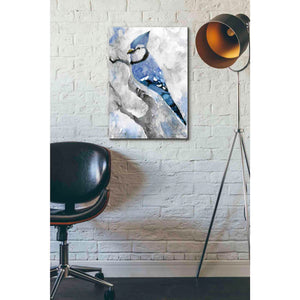 'Blue Jay 2' by Stellar Design Studio, Canvas Wall Art,18 x 26