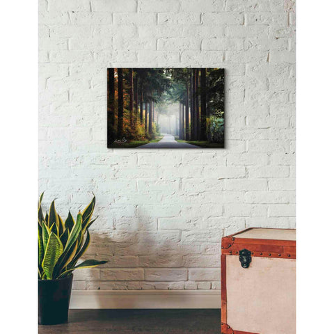 Image of 'Mysterious Roads' by Martin Podt, Canvas Wall Art,26 x 18
