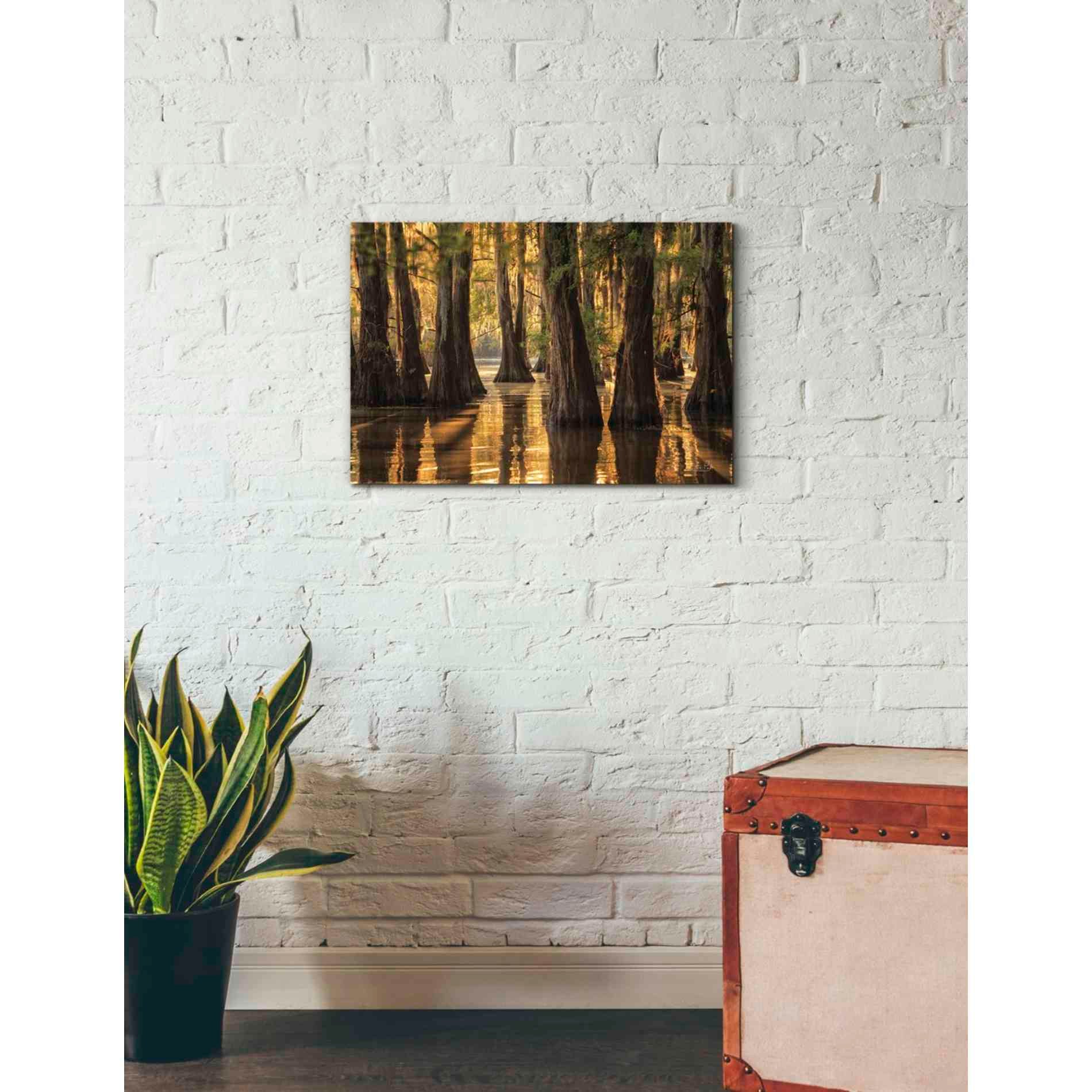 'Natural Beauty' by Martin Podt, Canvas Wall Art,26 x 18