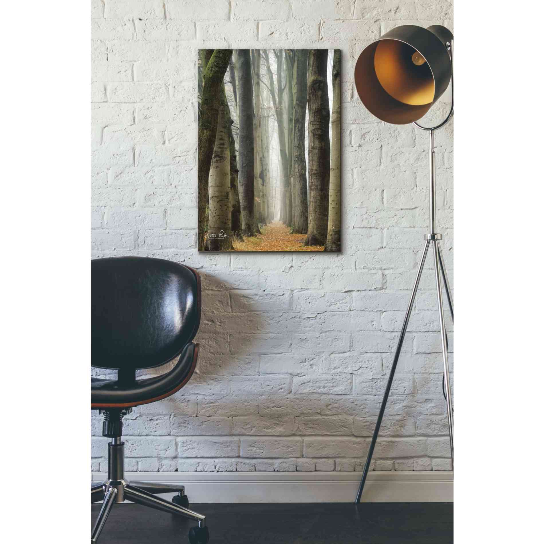 'Narrow Alley in the Netherlands' by Martin Podt, Canvas Wall Art,18 x 26