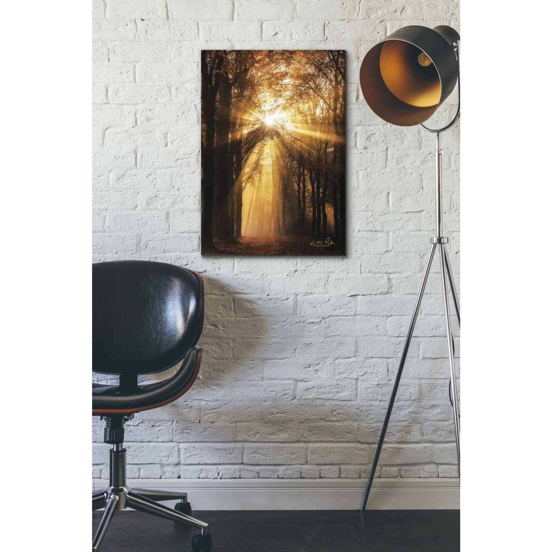 'Sunburst' by Martin Podt, Canvas Wall Art,18 x 26