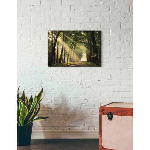 Image of 'The Light of Lochem' by Martin Podt, Canvas Wall Art,26 x 18
