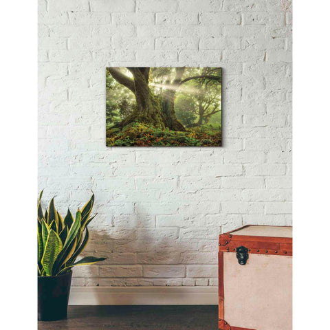 Image of 'One-Two Tree' by Martin Podt, Canvas Wall Art,26 x 18