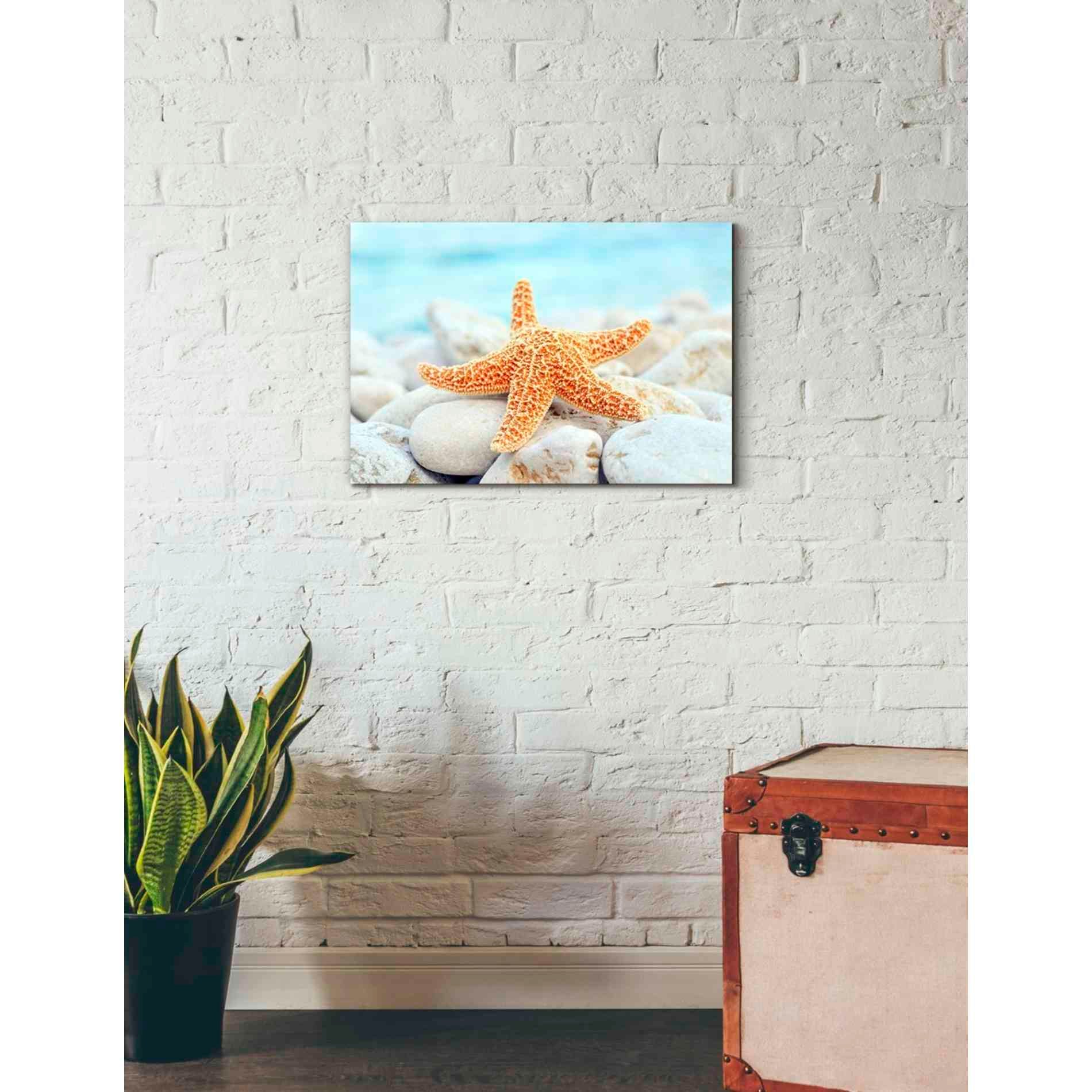 'Sea Star Dreams' Giclee Canvas Wall Art