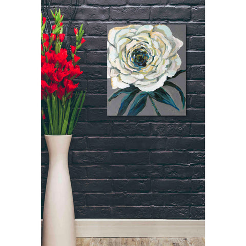 Image of "Rose" by Jeanette Vertentes, Canvas Wall Art,20 x 24