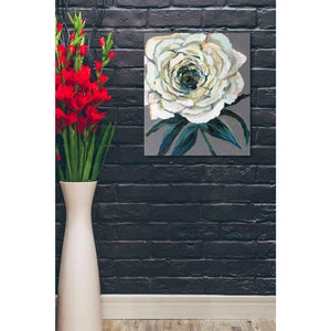 "Rose" by Jeanette Vertentes, Canvas Wall Art,20 x 24