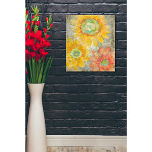 'Venezia Fiori I' by Silvia Vassileva, Canvas Wall Art,20 x 24