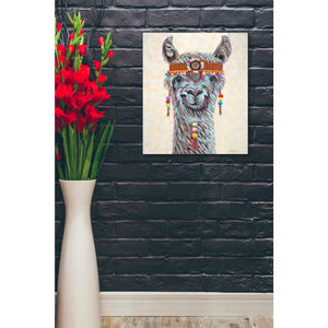 'Hippie Llama I' by Carolee Vitaletti, Giclee Canvas Wall Art