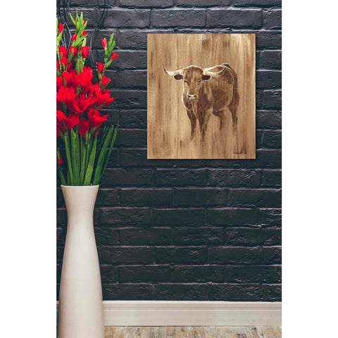 Image of 'Wood Panel Longhorn' by Ethan Harper Canvas Wall Art,20 x 24