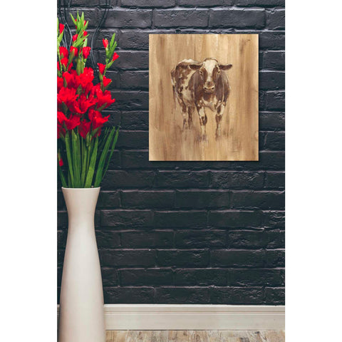 Image of 'Wood Panel Cow' by Ethan Harper Canvas Wall Art,20 x 24