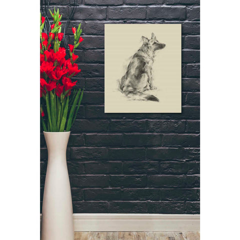 Image of 'Puppy Dog Eyes V' by Ethan Harper Canvas Wall Art,20 x 24