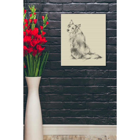 Image of 'Puppy Dog Eyes VI' by Ethan Harper Canvas Wall Art,20 x 24
