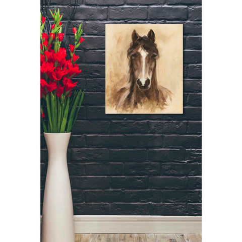 Image of 'Western Ranch Animals I' by Ethan Harper Canvas Wall Art,20 x 24