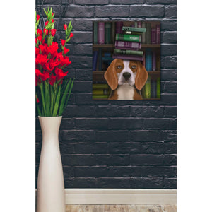 'Beagle and Books,' by Fab Funky, Giclee Canvas Wall Art