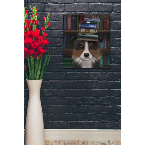 Image of 'Border Collie, Tricolour, and Books,' by Fab Funky, Giclee Canvas Wall Art