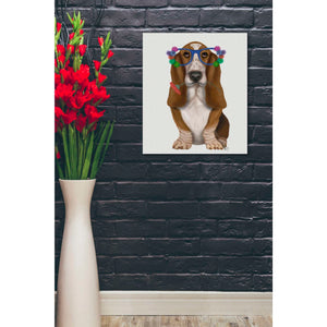 'Basset Hound Flower Glasses' by Fab Funky, Giclee Canvas Wall Art