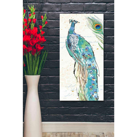 Image of 'Peacock Garden IV' by Anne Tavoletti, Canvas Wall Art,20 x 40