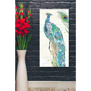 'Peacock Garden IV' by Anne Tavoletti, Canvas Wall Art,20 x 40