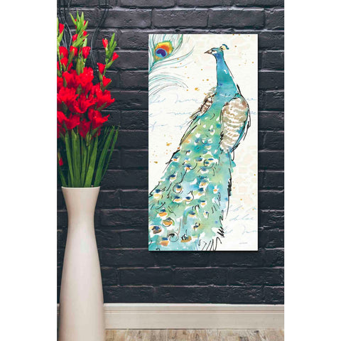 Image of 'Peacock Garden III' by Anne Tavoletti, Canvas Wall Art,20 x 40