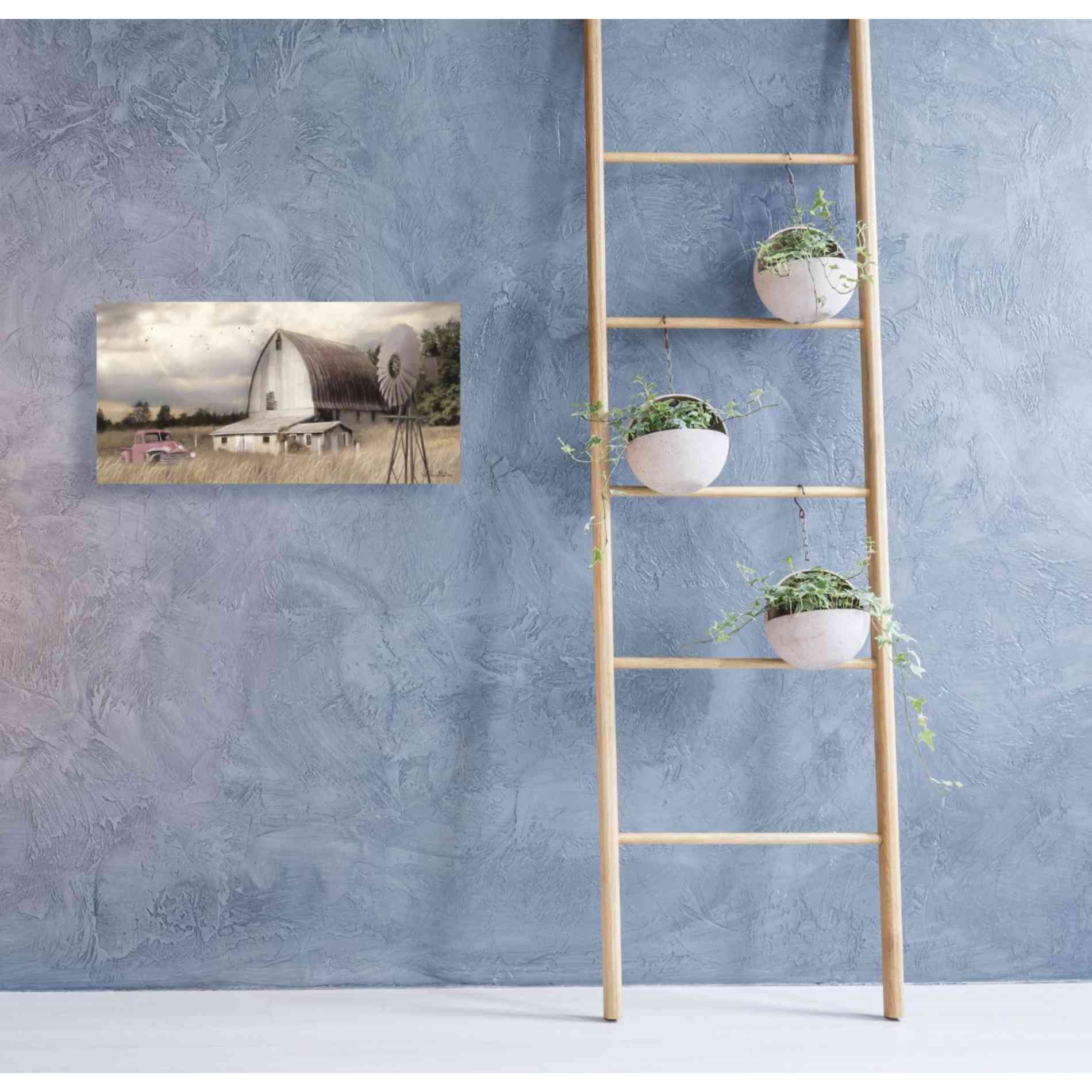 'Henderson Bay Farm' by Lori Deiter, Canvas Wall Art,40 x 20