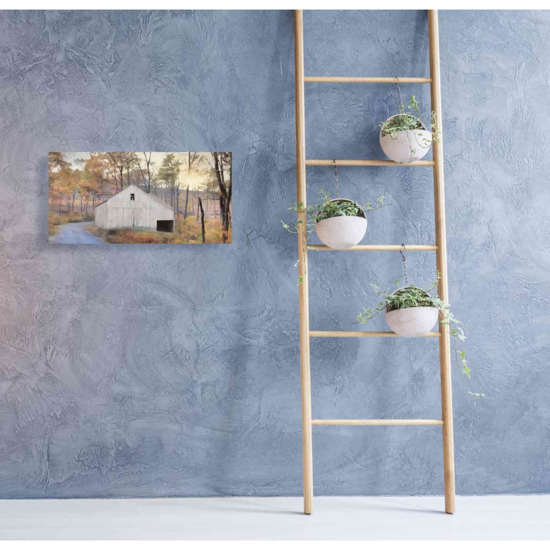 'Fall at the Barn' by Lori Deiter, Canvas Wall Art,40 x 20