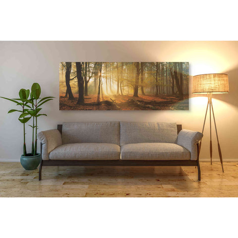Image of 'Speulderbos Panorama' by Martin Podt, Canvas Wall Art,60 x 20
