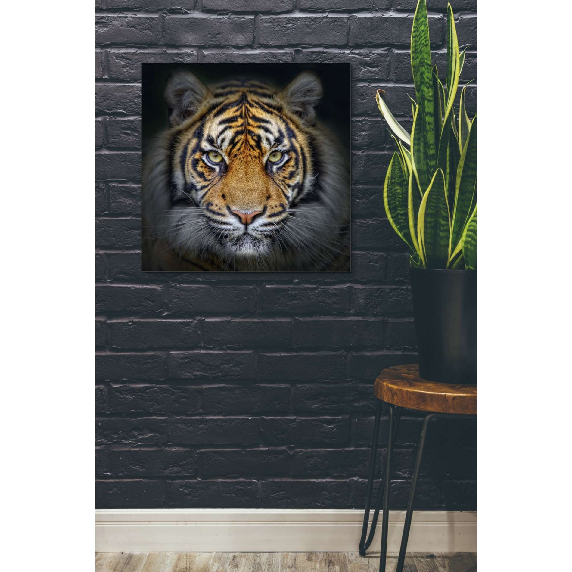 'Wild Side' Giclee Canvas Wall Art