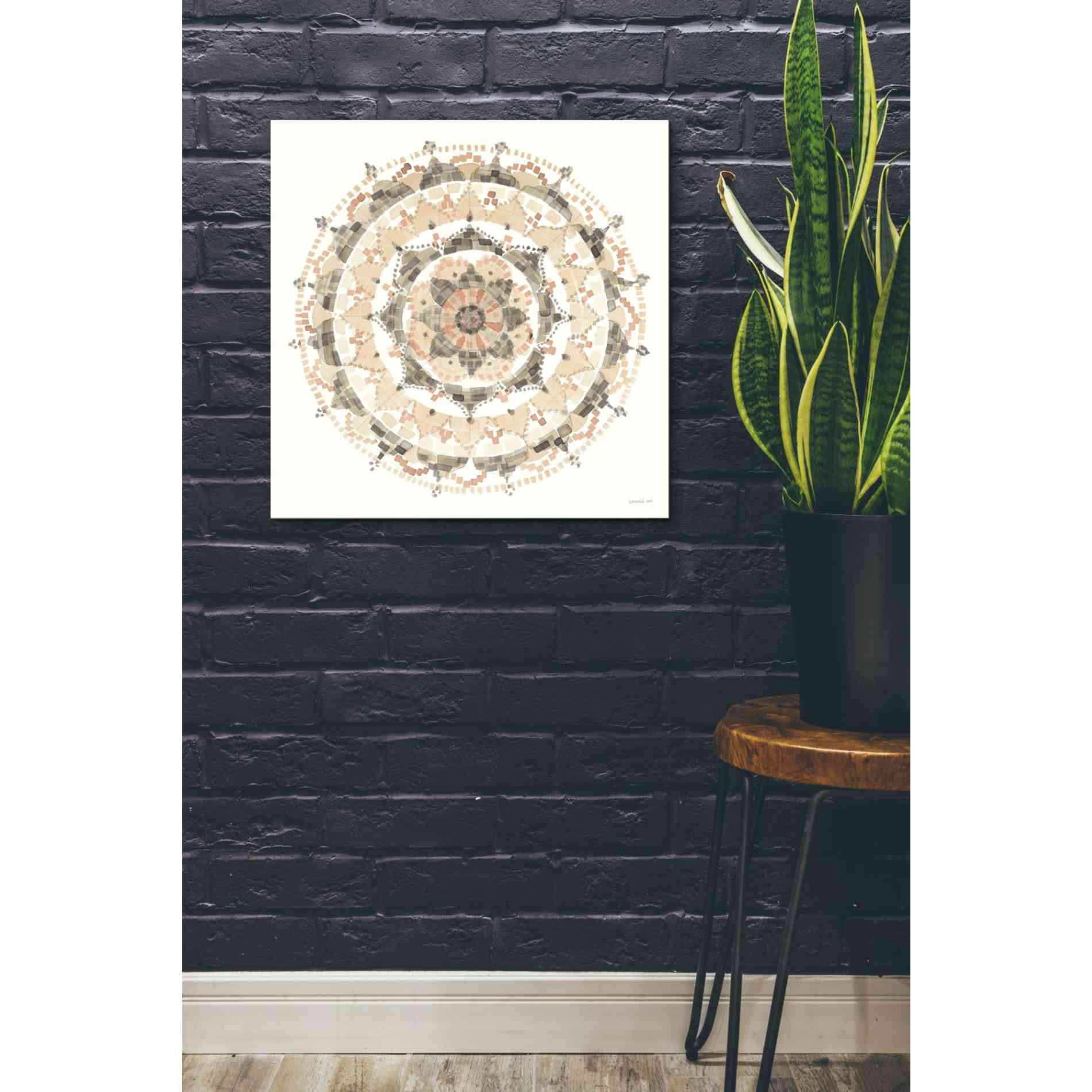 'Blush Mandala' by Danhui Nai, Canvas Wall Art,26 x 26