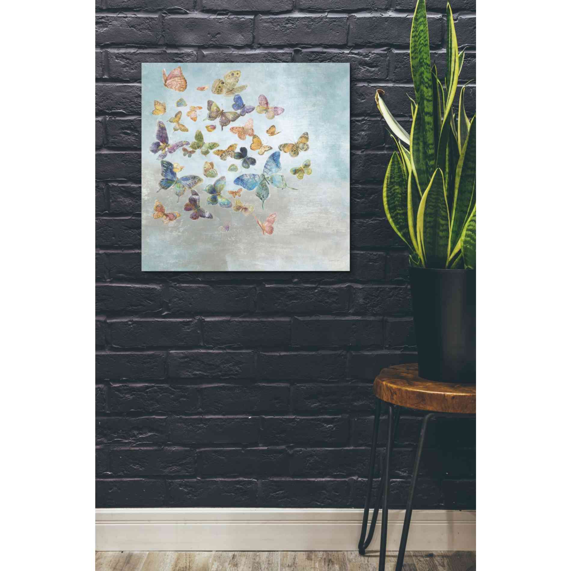 'Beautiful Butterflies v3 Square' by Danhui Nai, Canvas Wall Art,26 x 26