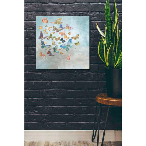 Image of 'Beautiful Butterflies v3 Square' by Danhui Nai, Canvas Wall Art,26 x 26