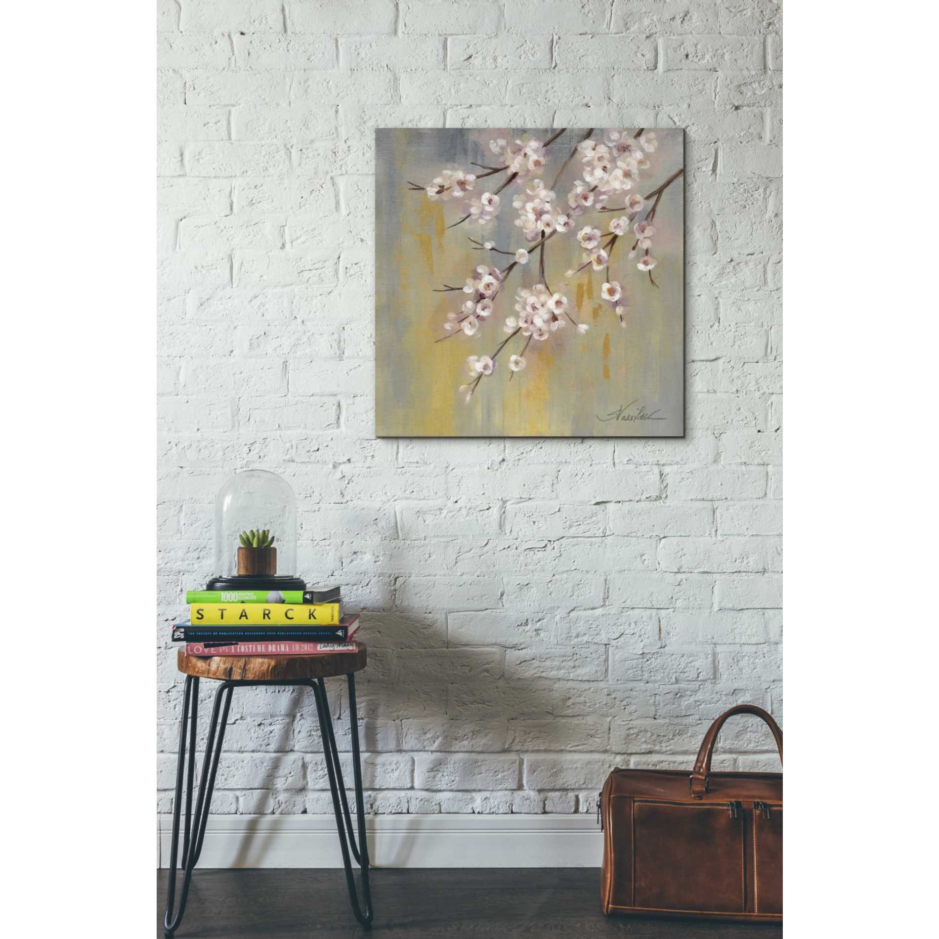 'Cherry Cloud' by Silvia Vassileva, Canvas Wall Art,26 x 26