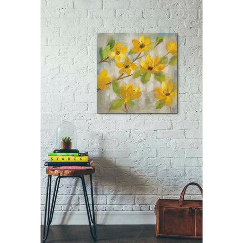 Image of 'Golden Bloom II' by Silvia Vassileva, Canvas Wall Art,26 x 26