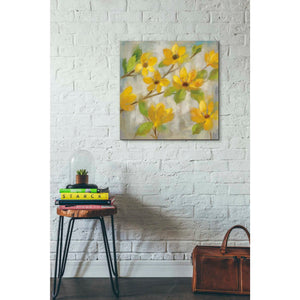 'Golden Bloom II' by Silvia Vassileva, Canvas Wall Art,26 x 26