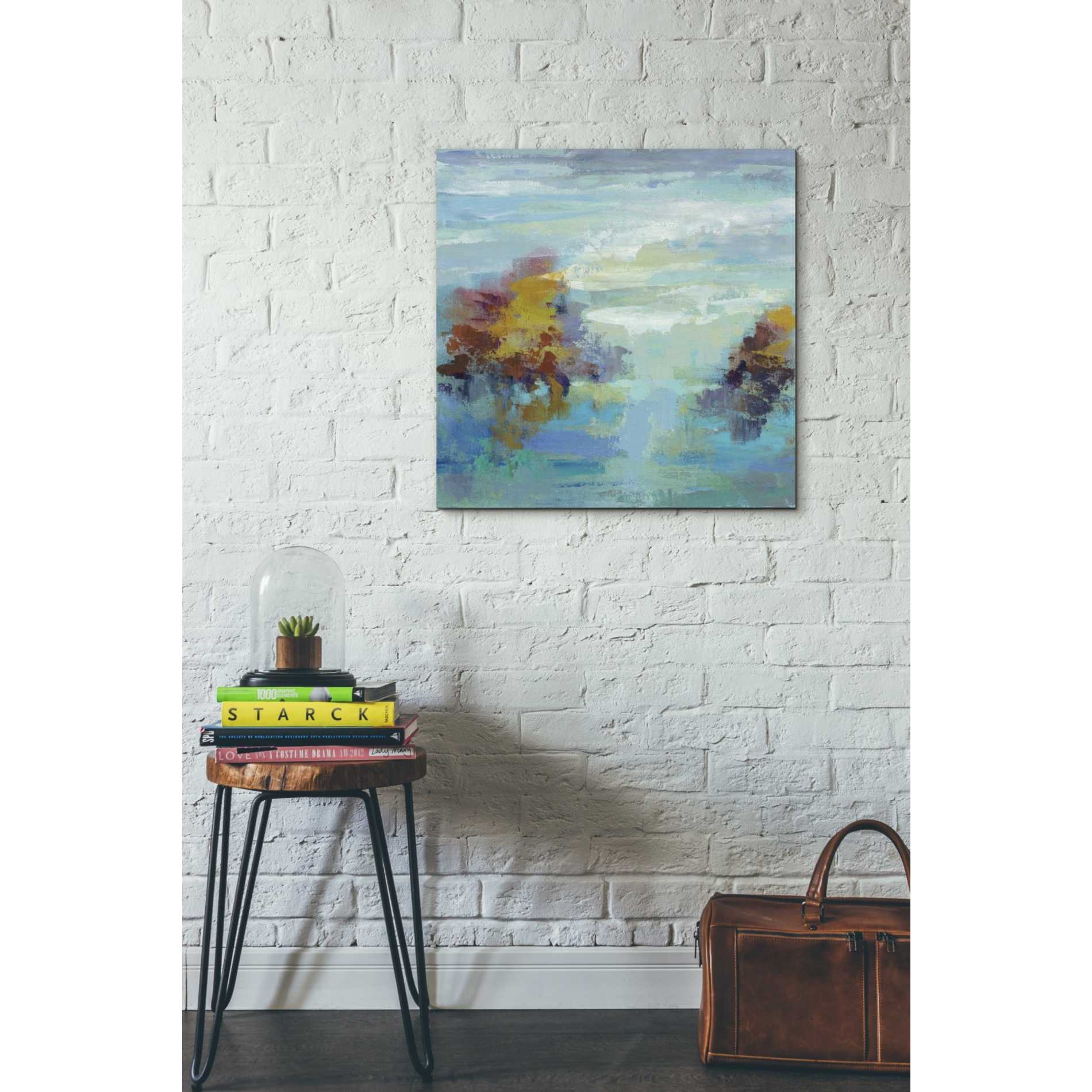 'Morning Mist I' by Silvia Vassileva, Canvas Wall Art,26 x 26